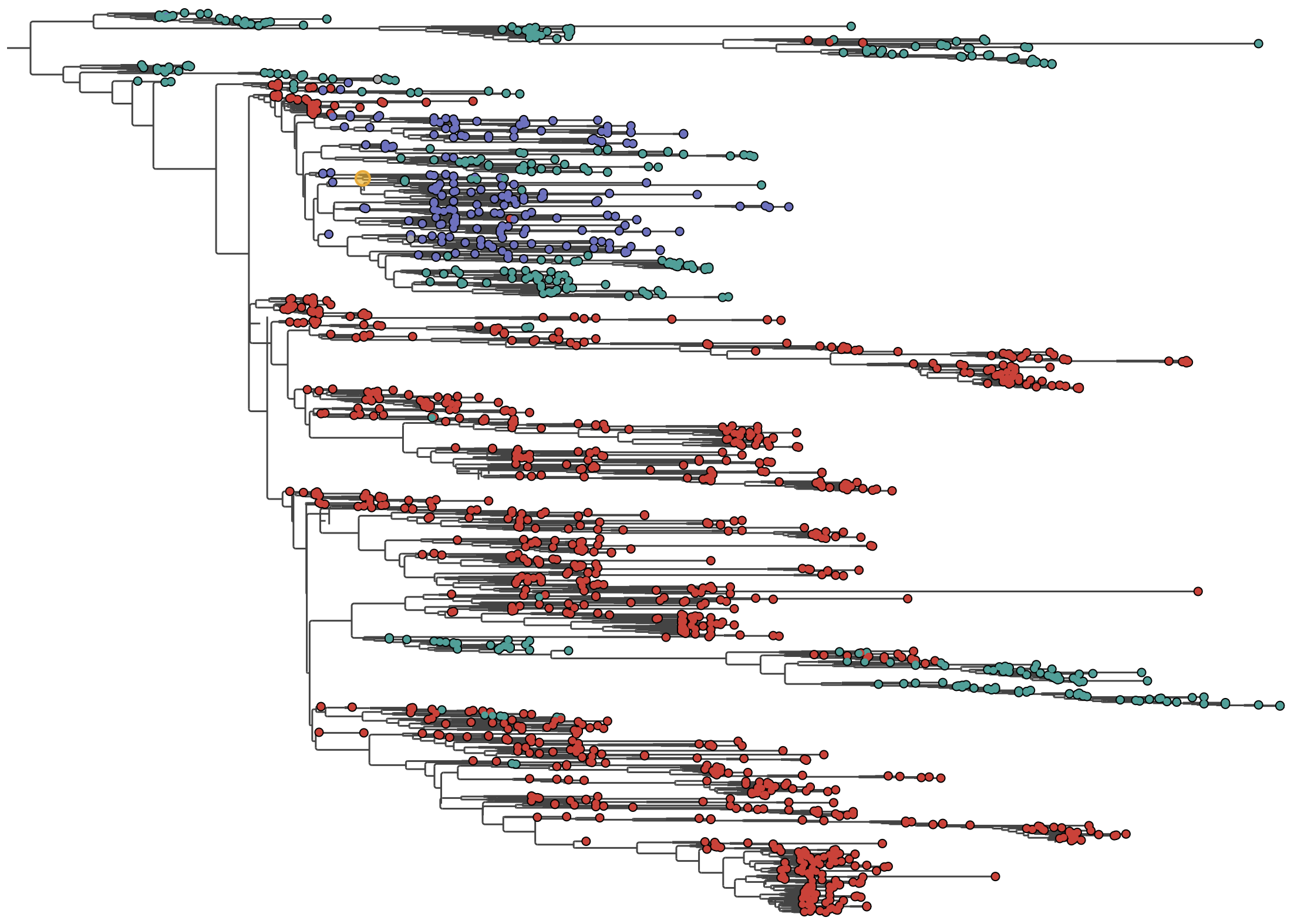 Using PearTree to visualize BEAST trees | BEAST Documentation