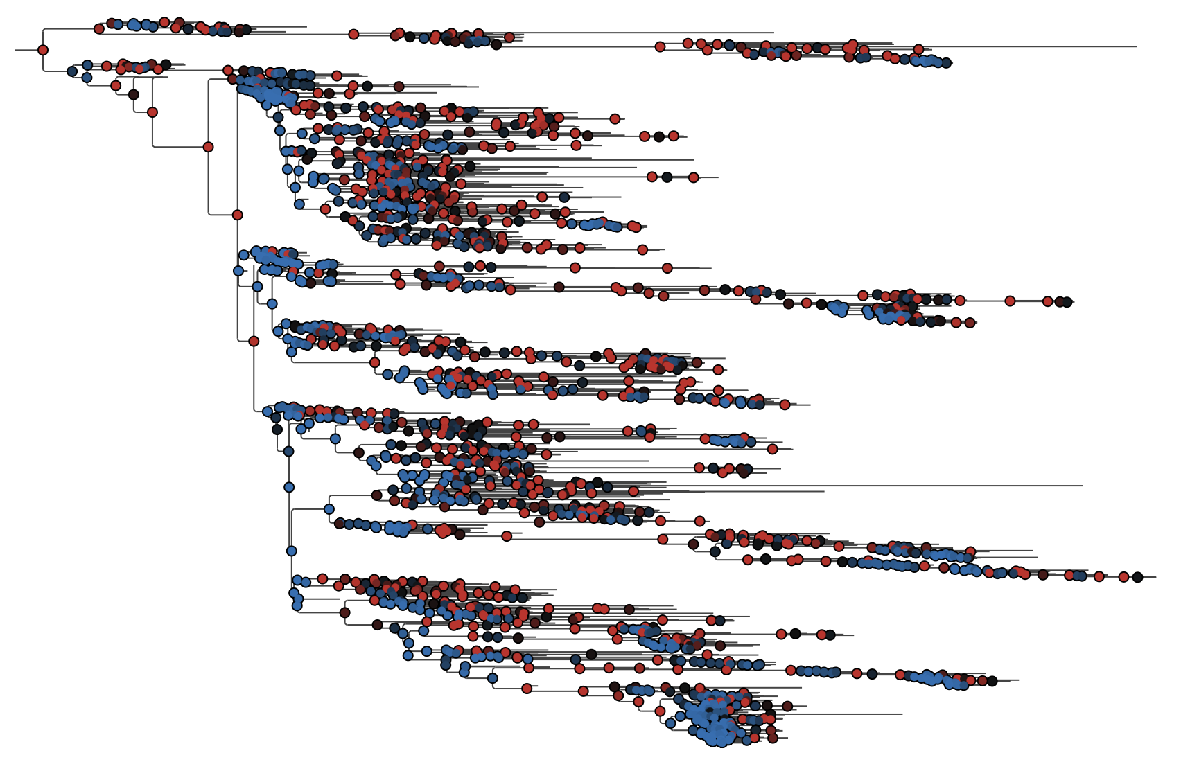 Using PearTree to visualize BEAST trees | BEAST Documentation
