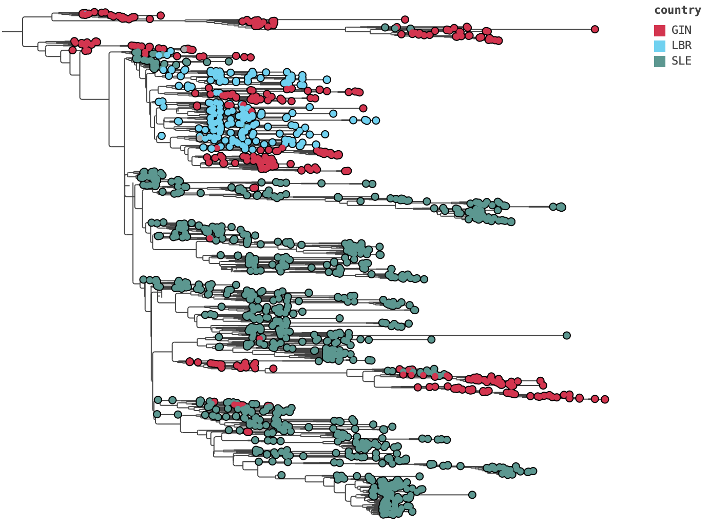 Using PearTree to visualize BEAST trees | BEAST Documentation