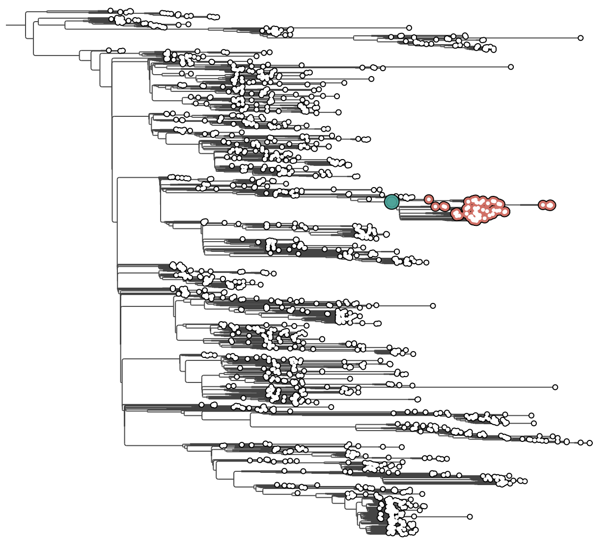 Using PearTree to visualize BEAST trees | BEAST Documentation