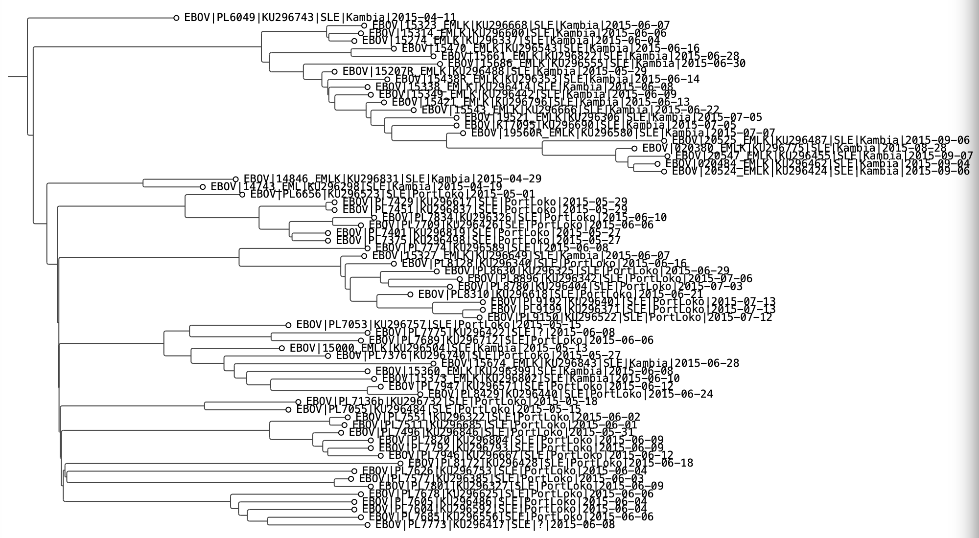 Using PearTree to visualize BEAST trees | BEAST Documentation